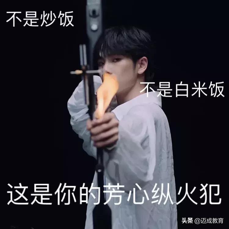 专转本专业课有必要去辅导班吗,专转本报辅导班有必要吗