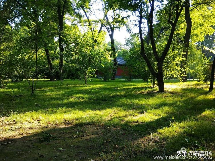 山西农大美丽的校园,山西农大校园风光