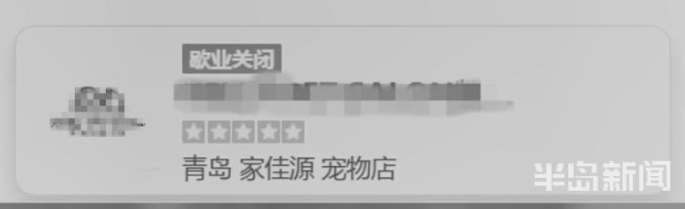 青岛宠物店柯基寄养被打死,狗在宠物店猝死