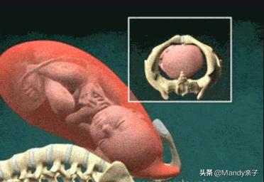 生孩子的苦男人不心疼吗,生孩子的苦只有女人才知道吗