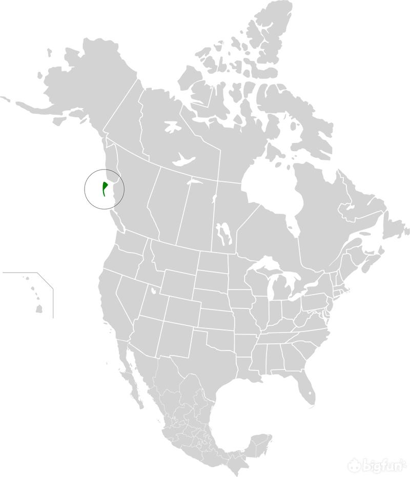 明日方舟伊比利亚剿灭,明日方舟伊比利亚大静谧