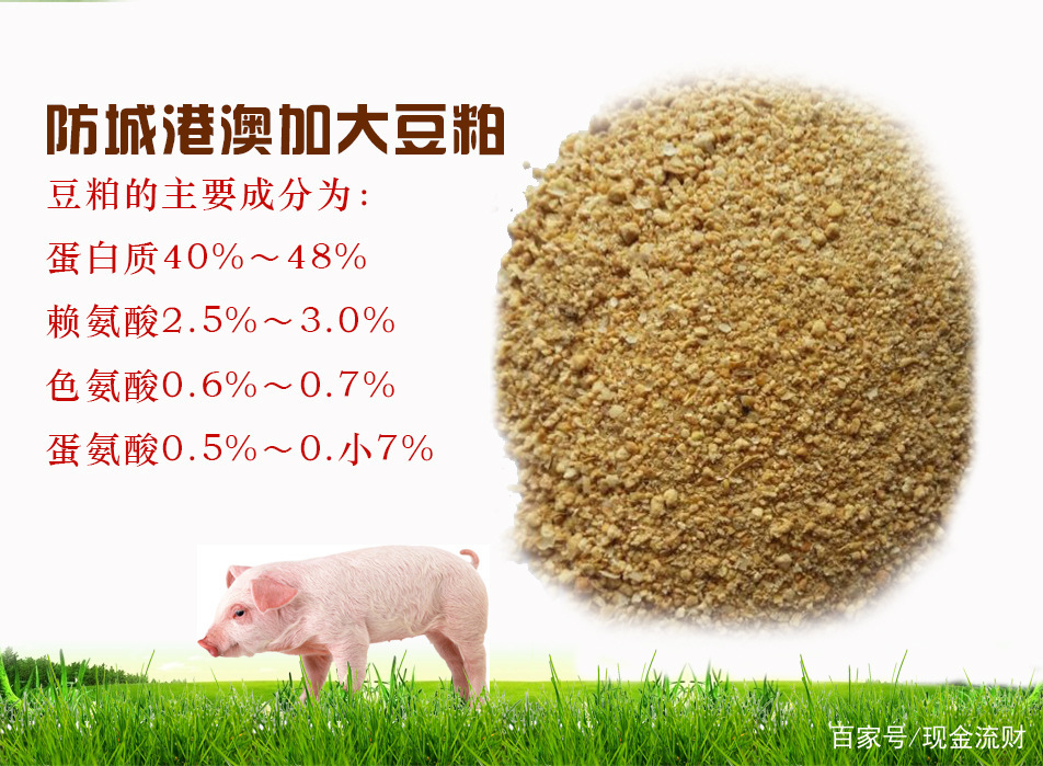 蝗灾过后粮食价格会涨吗,蝗灾囤粮食