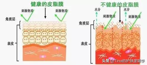 保湿面霜推荐护肤油,适合皮肤干的护肤品面霜