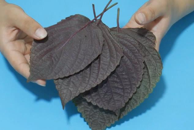 脚容易出汗怎么办？鞋臭怎么办？只需一招轻松搞定