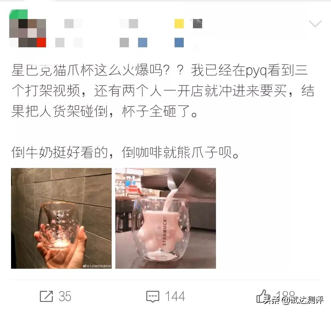 被星巴克“猫爪杯”收割智商税？这只猫能帮你提高智商，亲测有效
