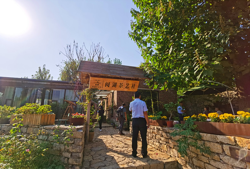 农庄100个盈利模式,开一家农庄自己必须会什么