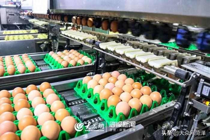 1元微力量捐款到武汉｜30枚爱心鲜鸡蛋26.8元，顺丰包邮到家