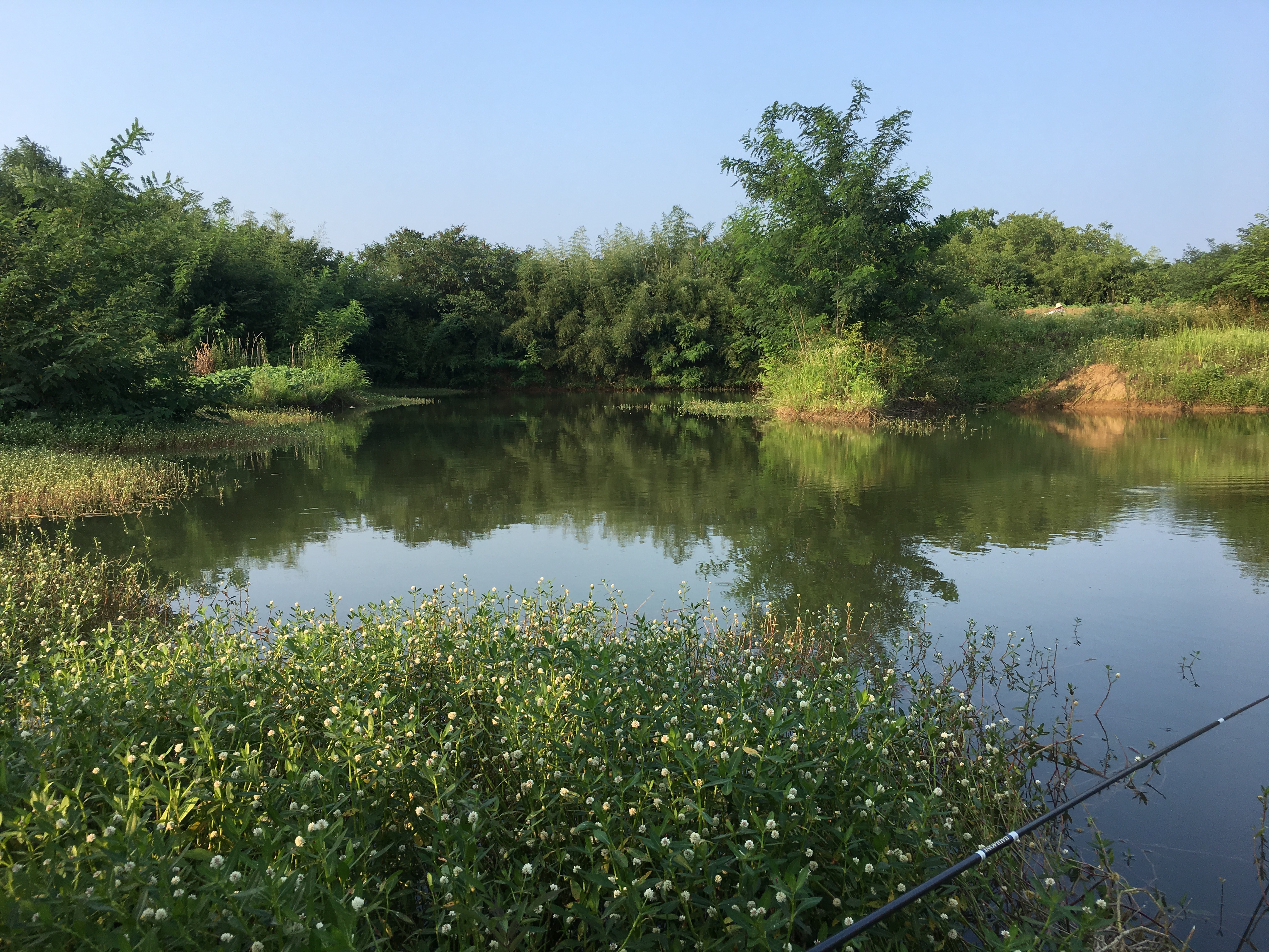 不吭不响就折我鱼竿，是倚老卖老的自信？还是你真的不会做人？