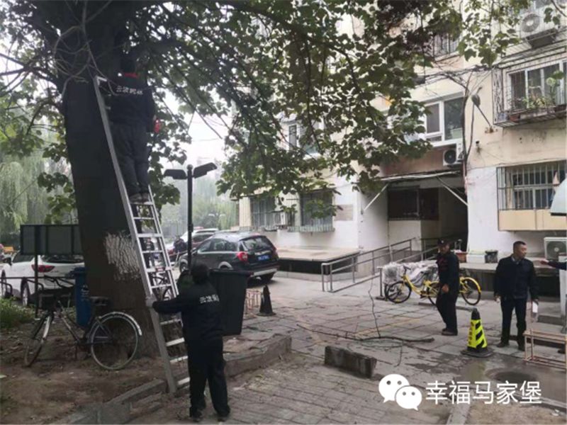 多措并举社区教育工作,街道四措并举主题教育