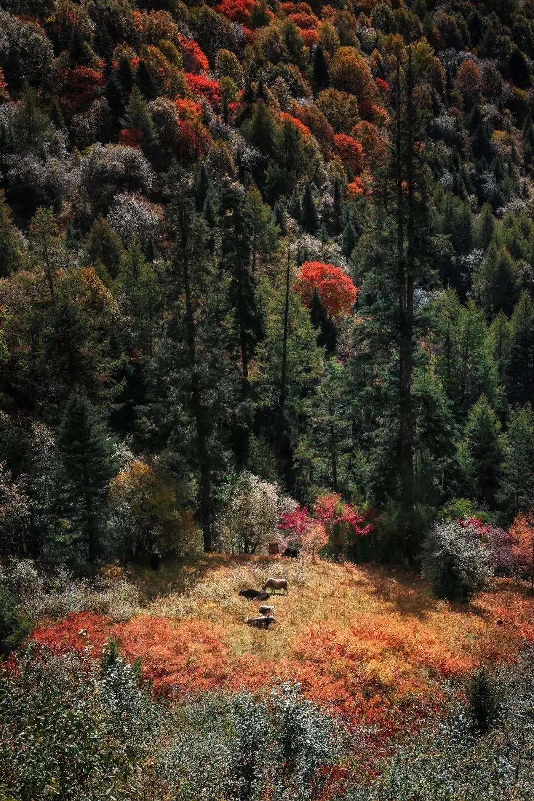 终于攒够了年假,年假怎么攒