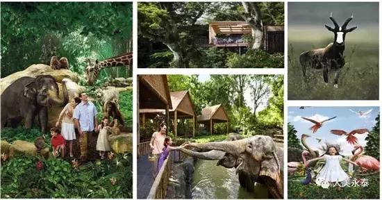 福州森林公园植物园,福州郊野生态主题公园