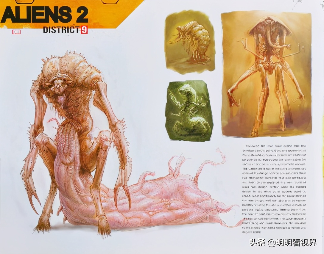 有生之年电影——《第九区》背后的故事，大虾的前世今生（一）