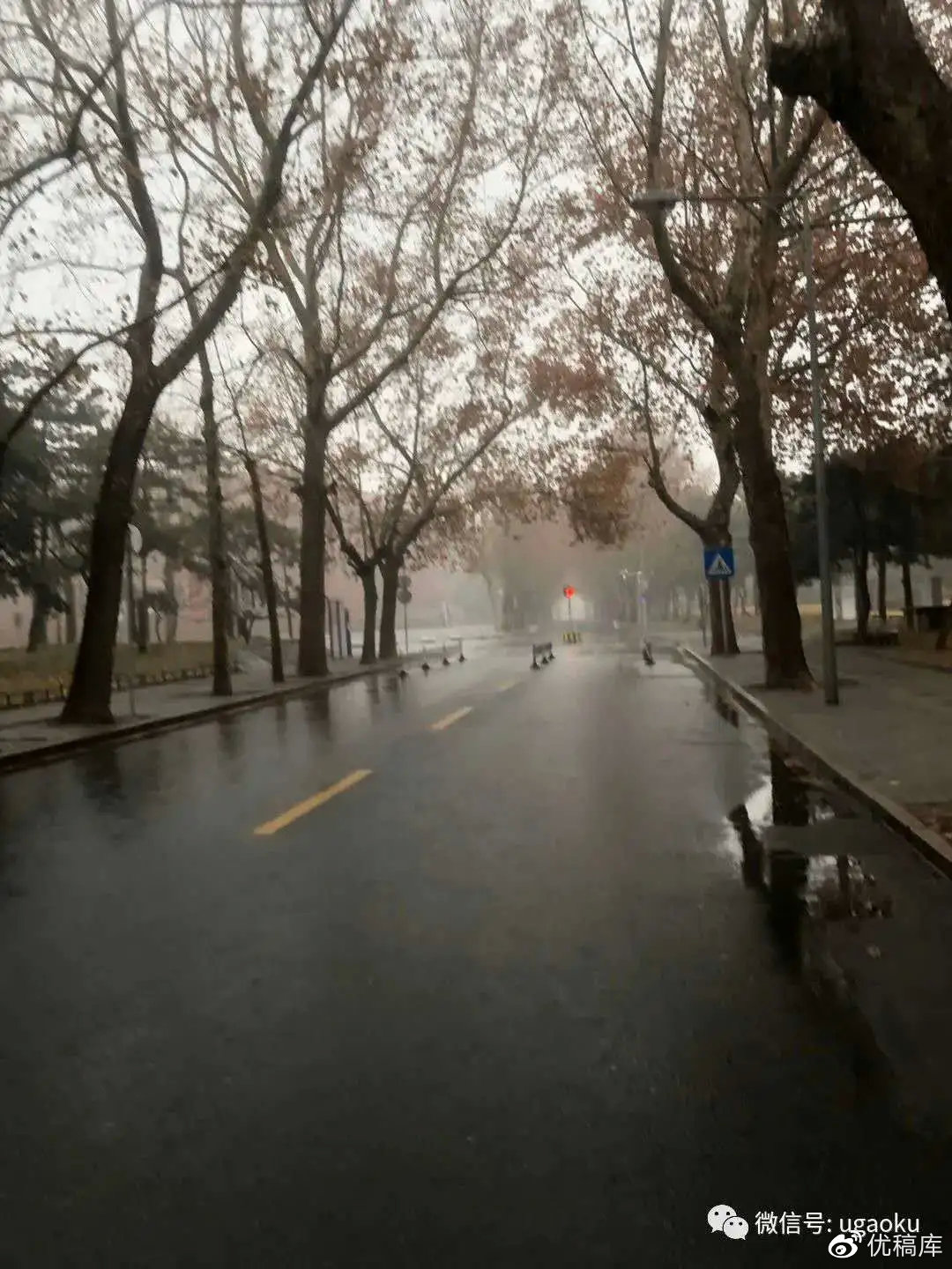 疫情时期的清华园,疫情期间清华园开放吗