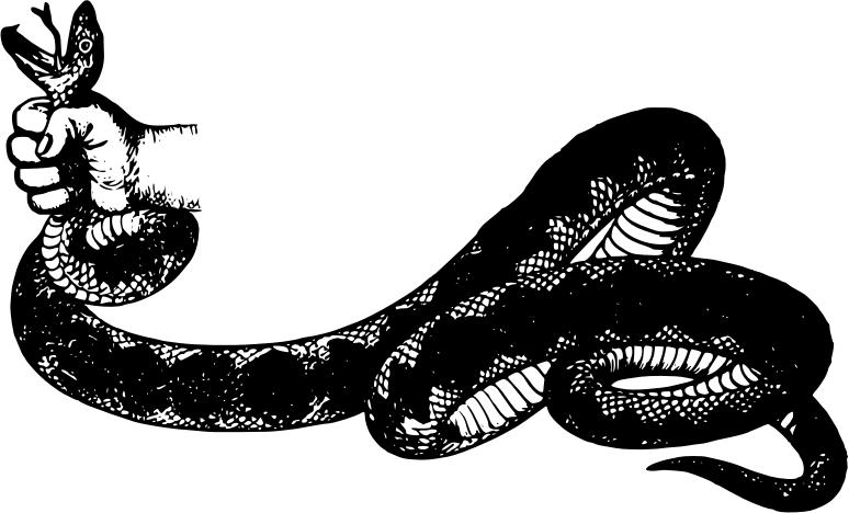 三米长的眼镜王蛇闯入家里,眼镜王蛇爬到家门口是什么征兆