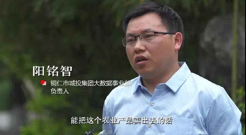 布瑞克农产品数据库,布瑞克农业数据库下载