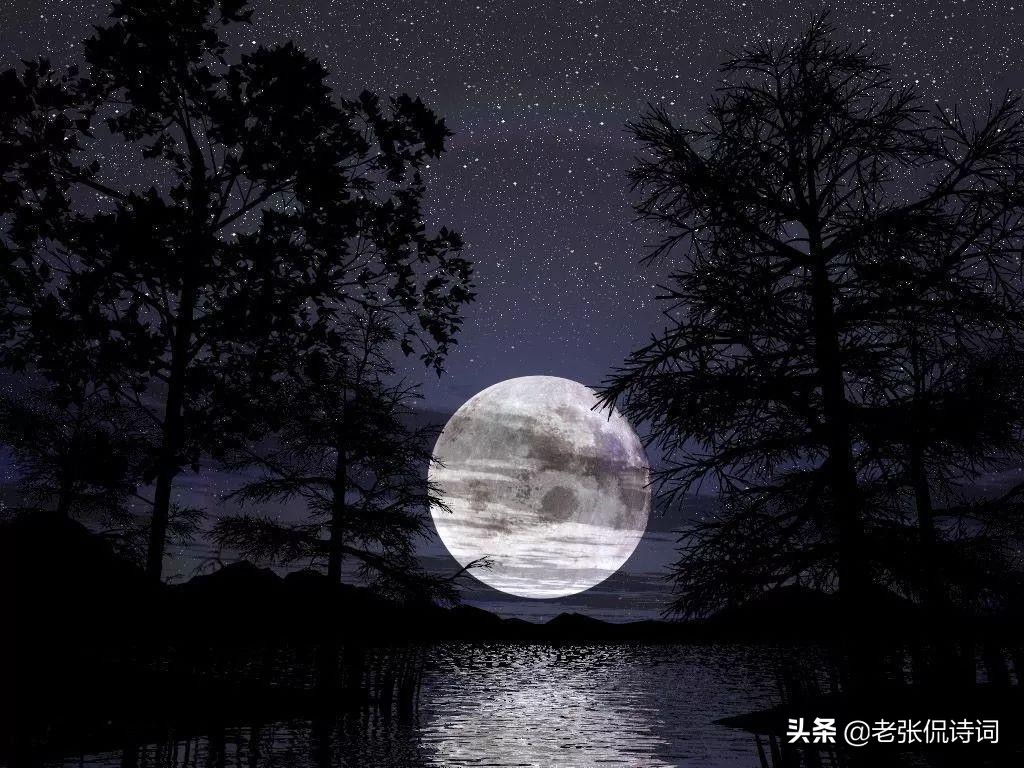 纳兰性德经典诗词描写夜晚,纳兰性德带月的诗句