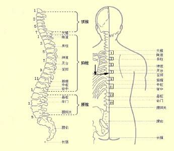 按摩效果为什么会有差异与什么原因造成的
