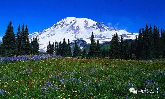 云南丽江旅游全国排名多少,云南丽江旅游景点排名前十有哪些