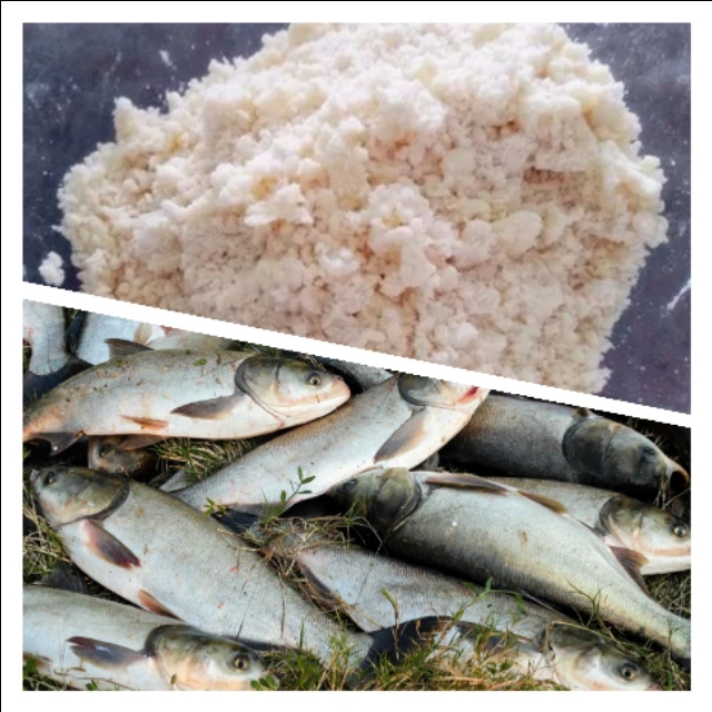 市场上鲢鳙饵料什么最好用,鲢鳙专用饵料排行