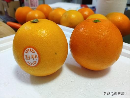 云南褚橙和赣南脐橙区别,褚橙与赣南脐橙哪个好