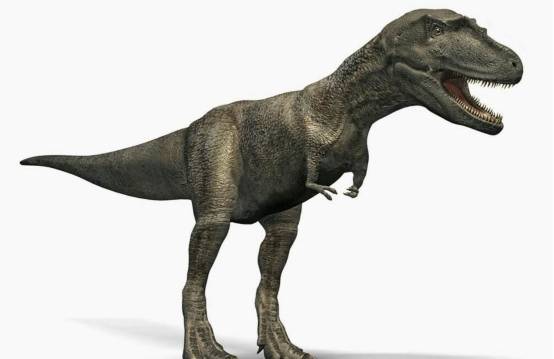 科学家对恐龙的发现,科学家如何知道恐龙是几亿年前