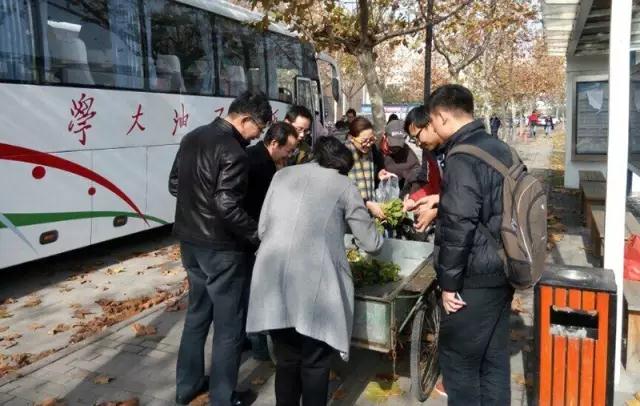 鄠邑区开心农场,西安开心农场果园