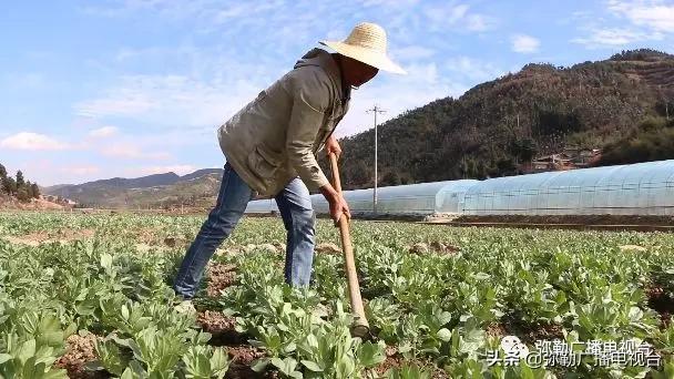 弥勒这一家子,穷!穷!富!富