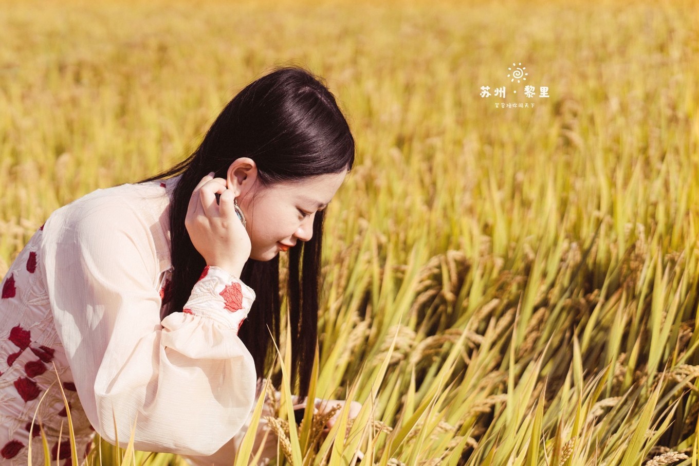 江南小众古镇视频,江南水乡小众又出名