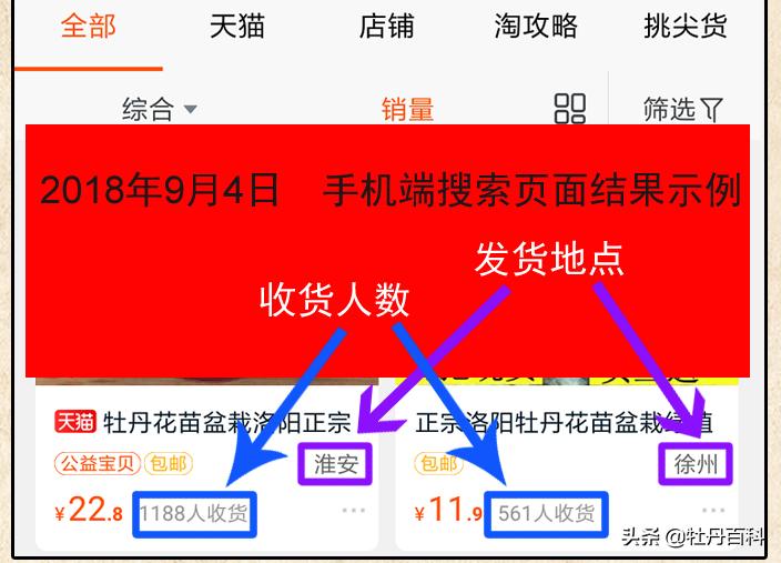 牡丹花怎么分辨真假观赏牡丹,真牡丹花蕾和假牡丹的区别