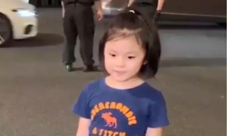 中国驻休斯顿总领馆关闭,中国驻休斯顿总领馆事件评论