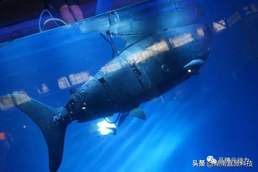 淘宝造物节值得去吗,淘宝上的造物节攻略