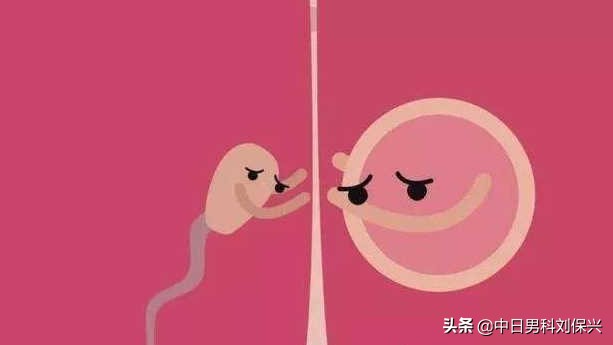 结扎后有自己恢复的吗,结扎后身体真的会变差