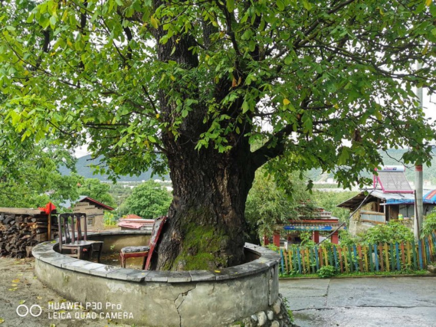 王君琪/天路行之——坐上火车游拉萨（五）