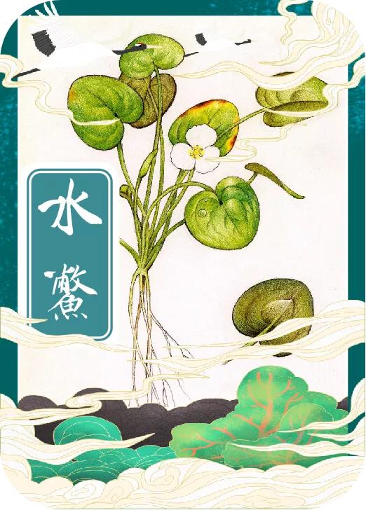 「手绘湖州」小满节气，一起揭开湖州古称“菰城”背后的玄机