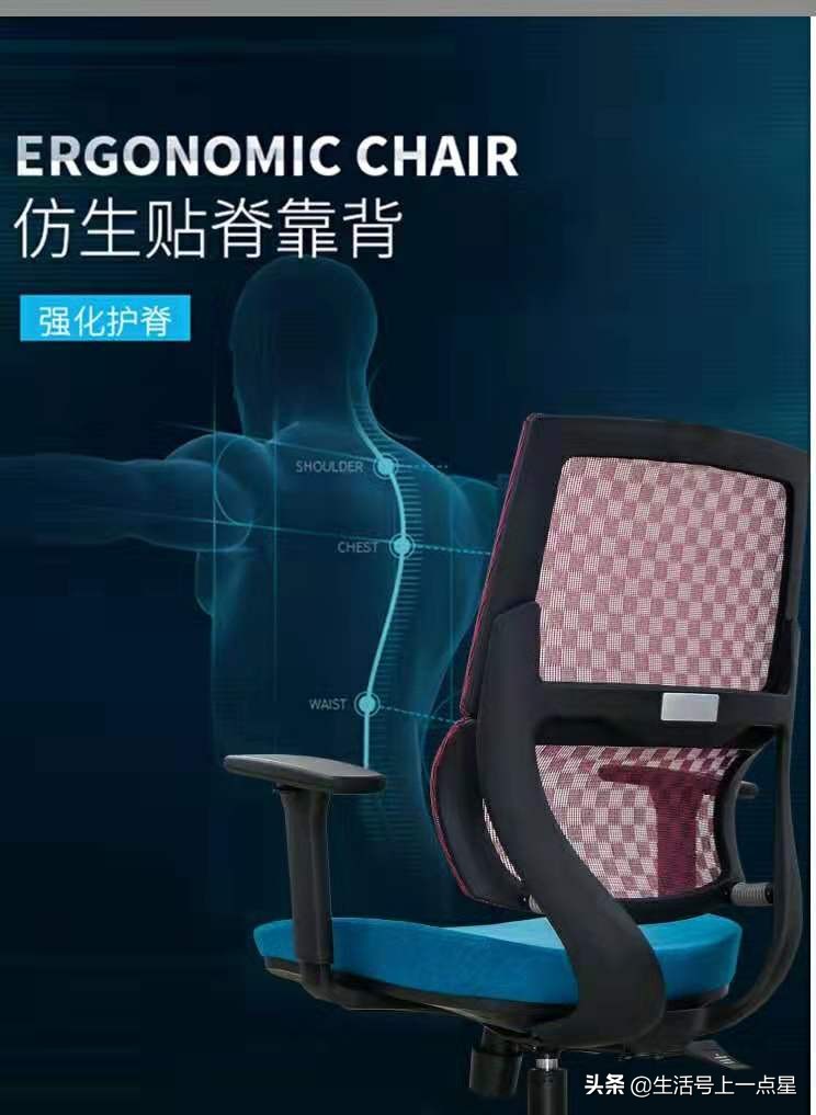 丰盛的健康办公椅-------“兰迪”首选推广