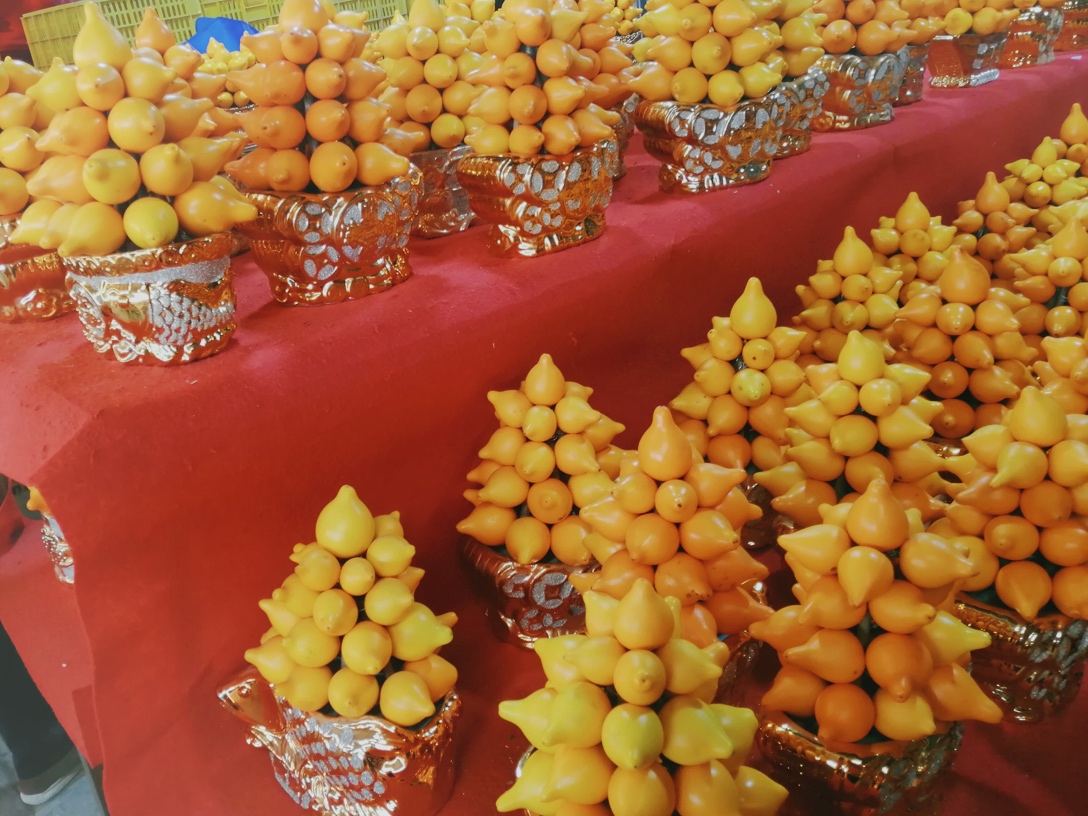 广州岭南花卉市场订花,广州岭南花卉市场攻略