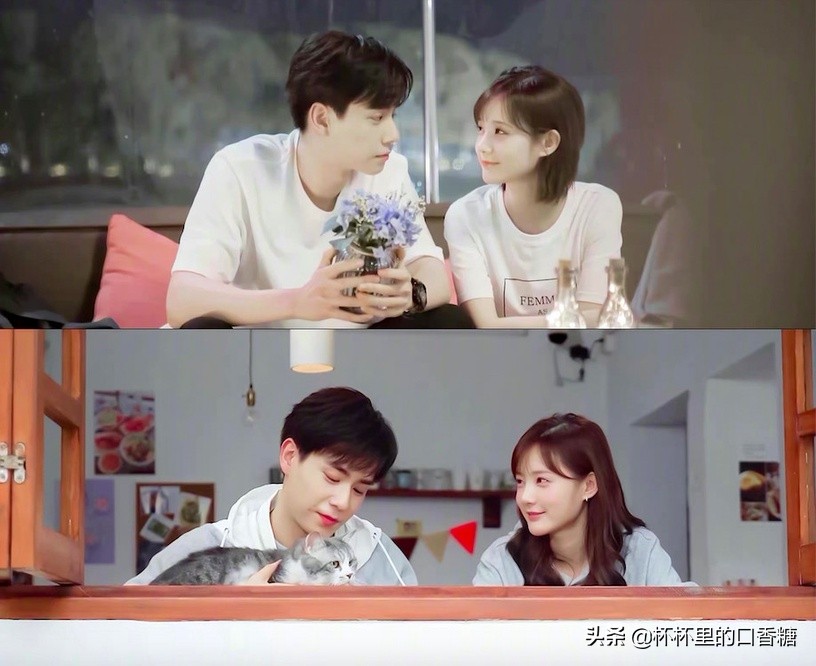 亲爱的爱情电视剧推荐,2020年甜蜜的爱情电视剧推荐