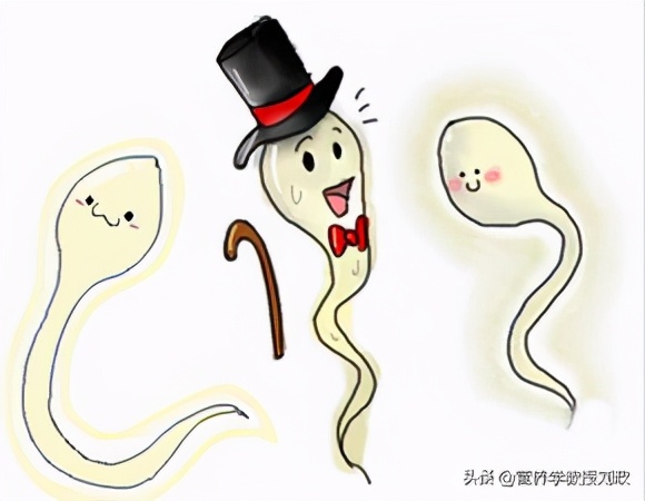 男人生殖障碍吃什么药副作用小,男性生殖障碍中医还是西医治疗