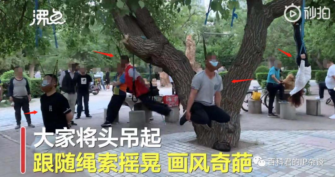 沈阳大爷大妈头挂树上,沈阳大爷大妈将头挂树上健身视频