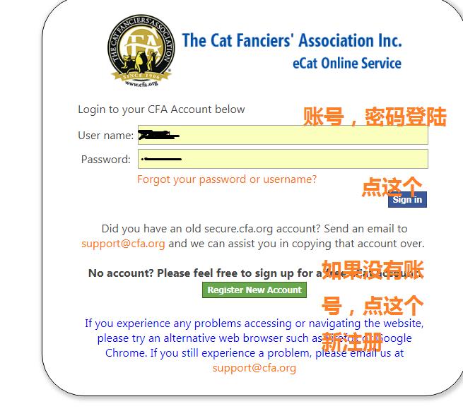 花重金买猫,花高价买的猫