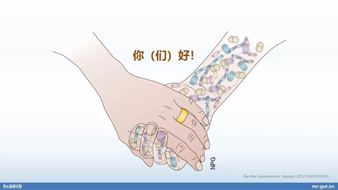 热心肠先生益生菌视频大全,热心肠先生全集