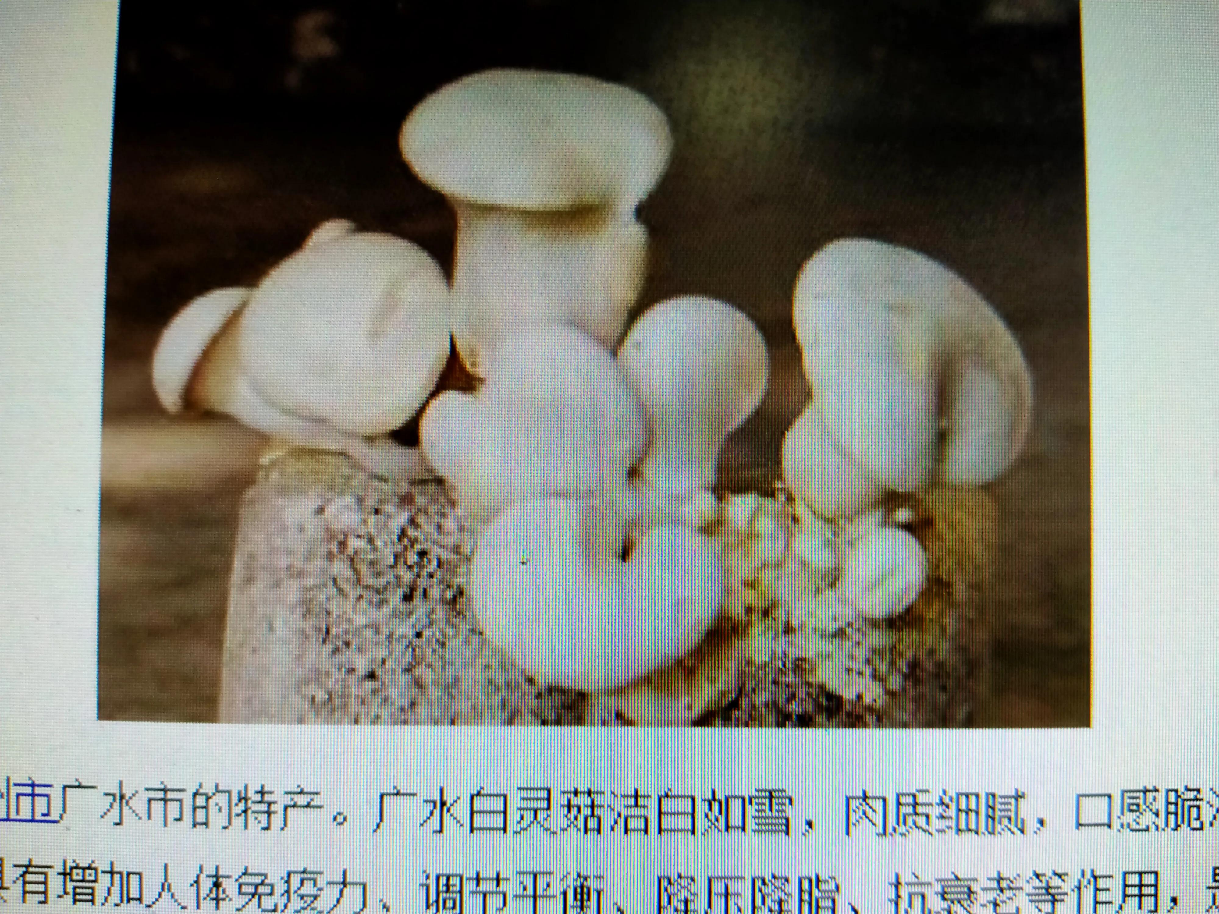 欢迎回到湖北随州文案,欢迎回到湖北随州