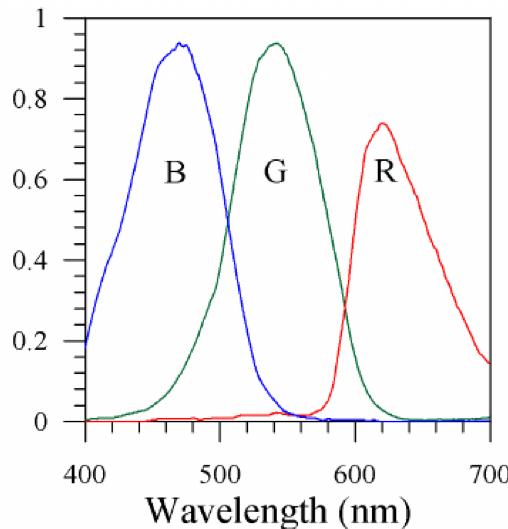 生物神经元的工作原理对深度学习神经元的启发
