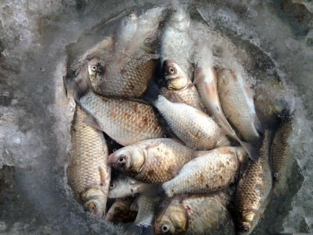 冰钓的十大技巧,冬季北方冰钓的八大禁忌