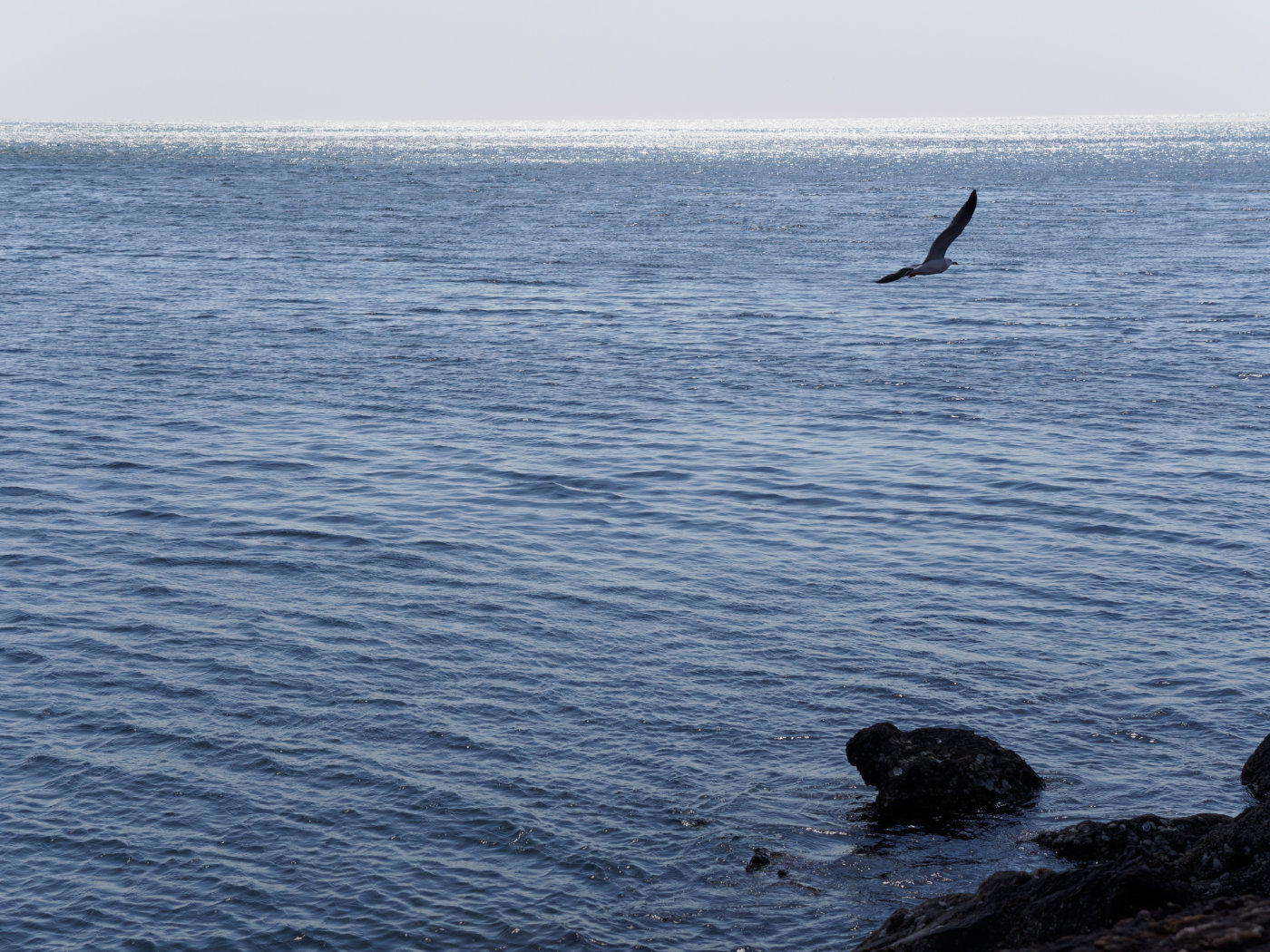 行摄大连丨渔人码头之“海的变奏曲”