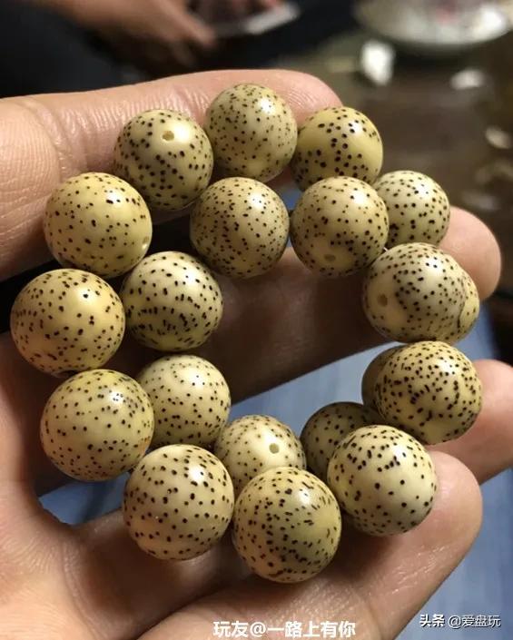 10块钱的星月菩提手串是真的吗,百元能玩得出来的文玩