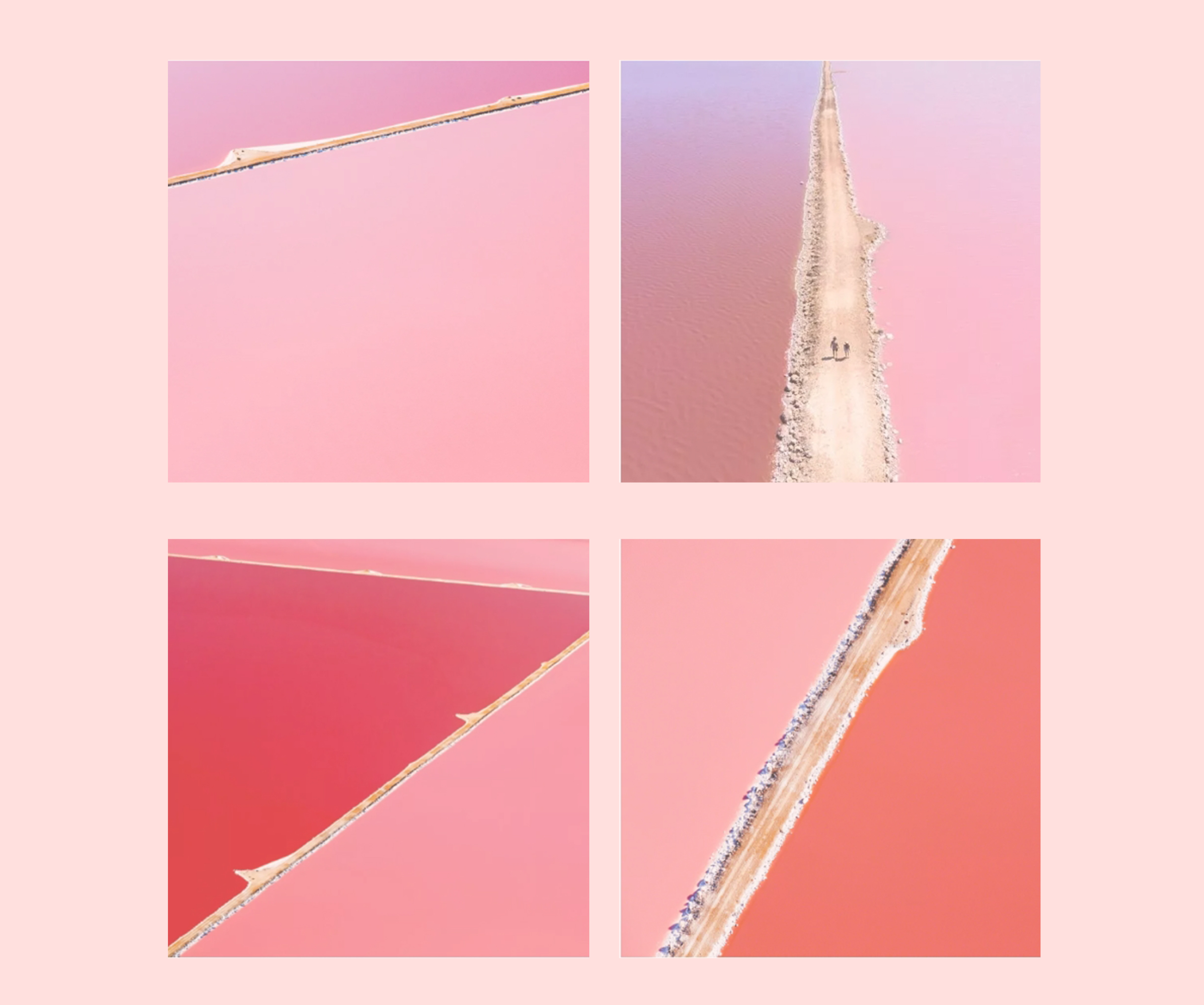 你看看现在的时尚icon,谁秋冬还在穿驼色?千娇百媚的粉才是首选