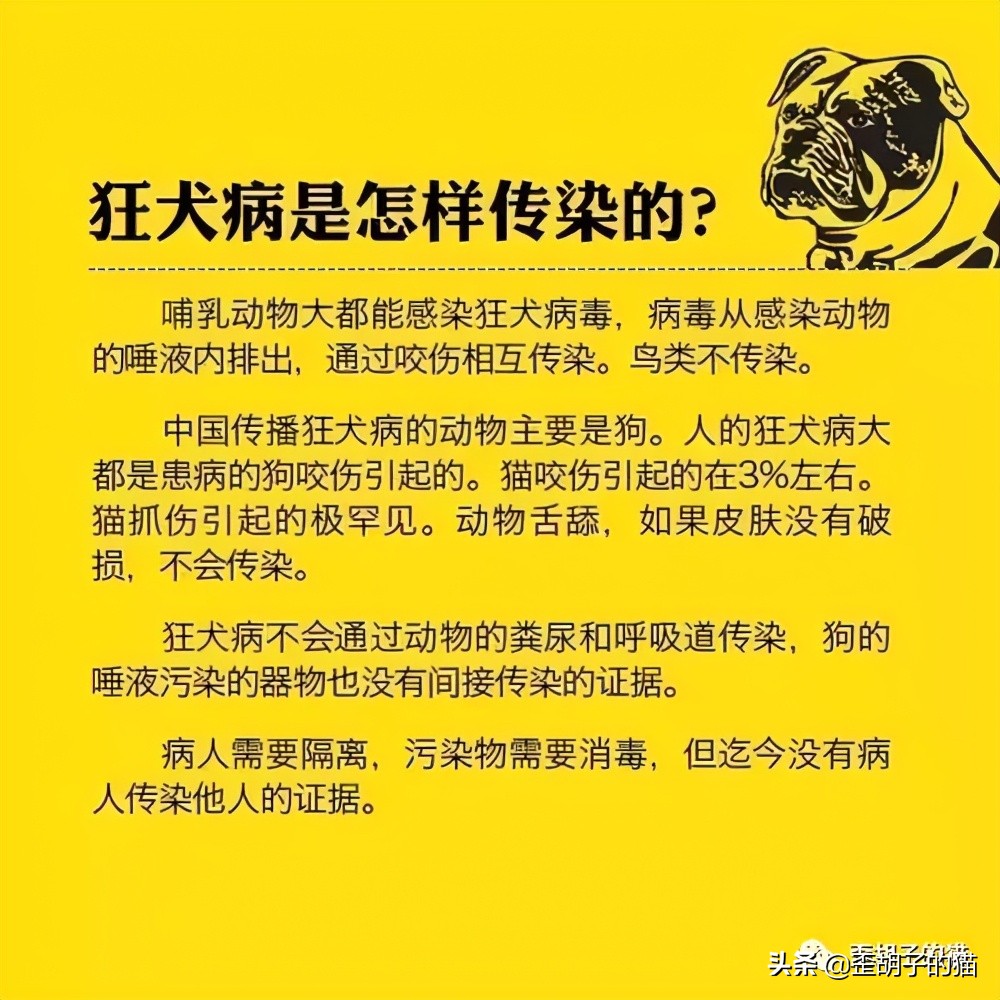 猫抓伤得狂犬病猫也会死吗,我被猫抓伤了伤口很深要打疫苗吗