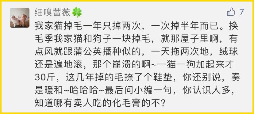 合租养猫劝退指南,《养猫劝退指南》