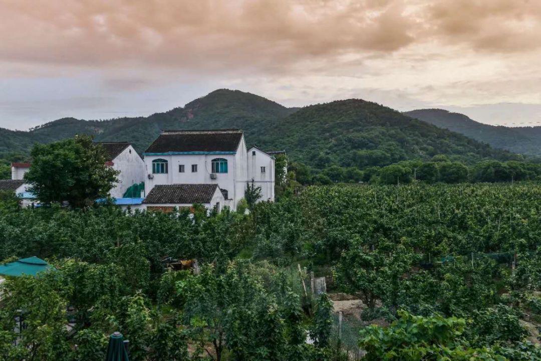 新一年的好运,适合全家人冬季一起泡温泉的民宿